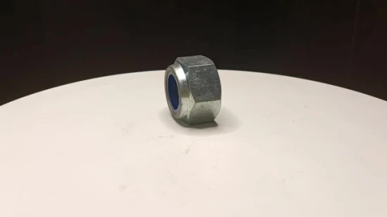 Nylon Lock Nuts DIN985 Black for Industry